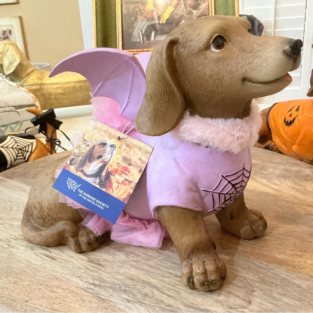 Adorable Dachshund Bat figure costume Pink Tutu & Wings, ballet or angel?🤔😀 - Picture 5 of 12